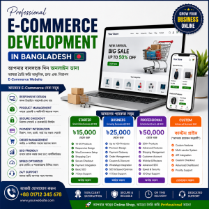 E-Commerce Development